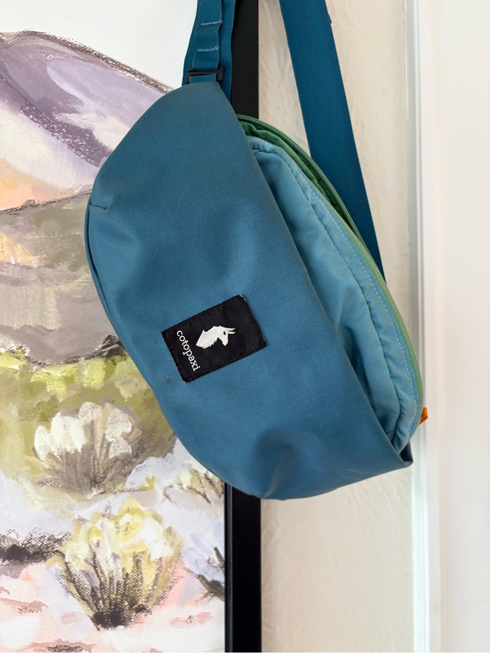 Cotopaxi belt hip sling bag - Picture 6 of 8